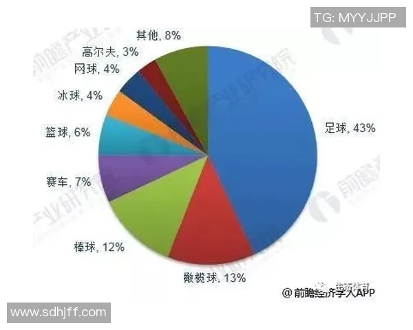 全球足球成熟球星实力综合排名及影响力深度分析报告 全球足球成熟球星实力综合排名及影响力深度分析报告