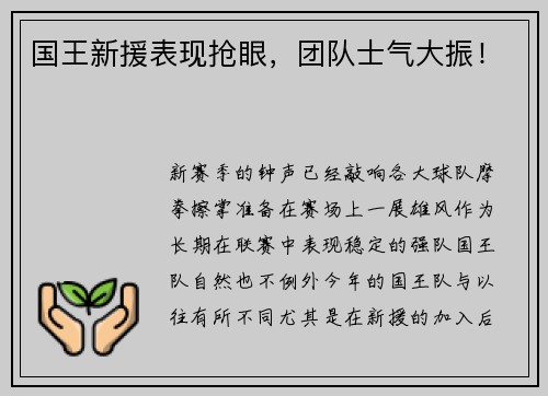 国王新援表现抢眼，团队士气大振！