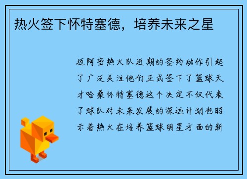 热火签下怀特塞德，培养未来之星